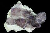 Smoky Amethyst Crystal Cluster on Feldspar Matrix - Namibia #46033-1
